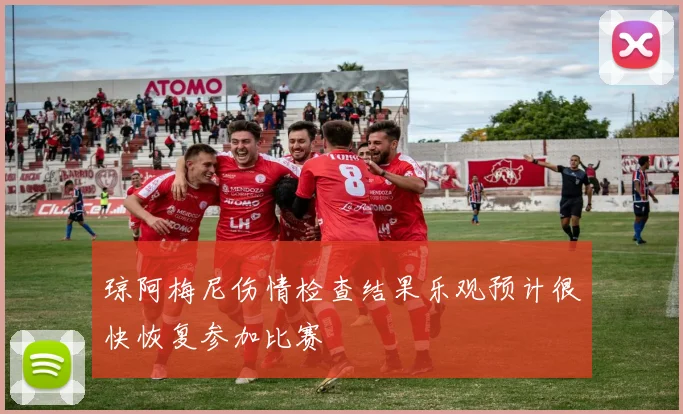 琼阿梅尼伤情检查结果乐观预计很快恢复参加比赛