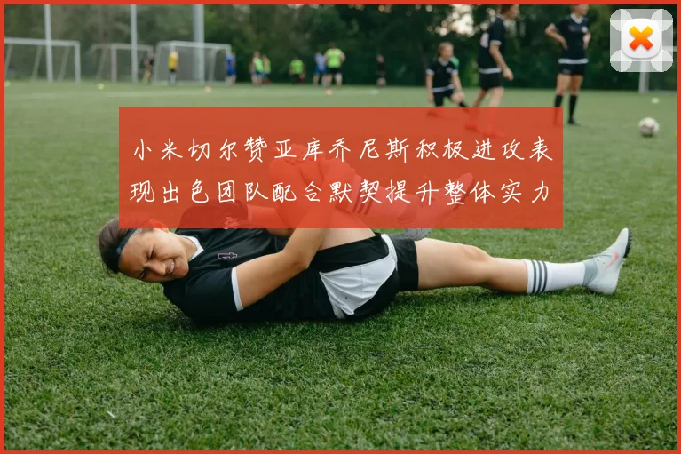 小米切尔赞亚库乔尼斯积极进攻表现出色团队配合默契提升整体实力